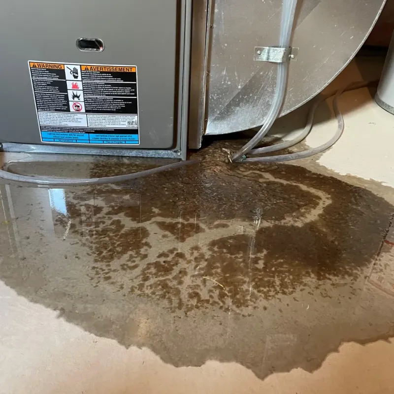 Appliance Leak Cleanup in Alabaster, AL